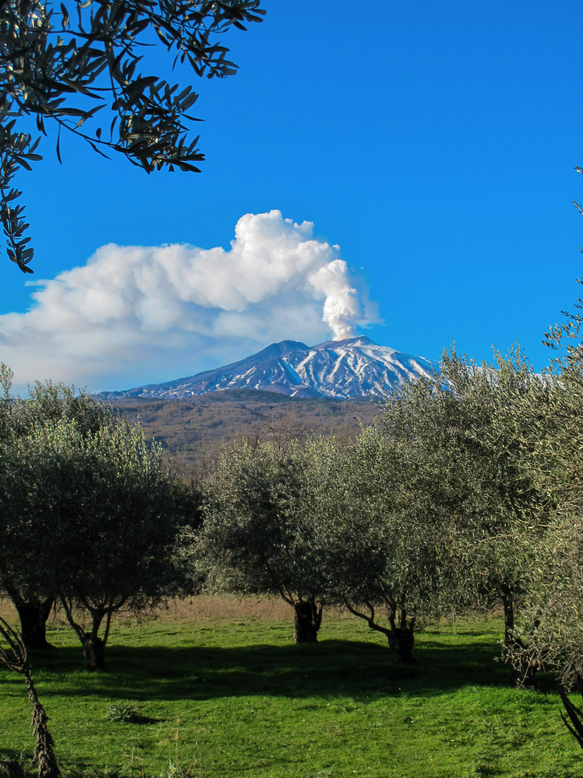 Vue sur l'Etna en éruption depuis le jardin